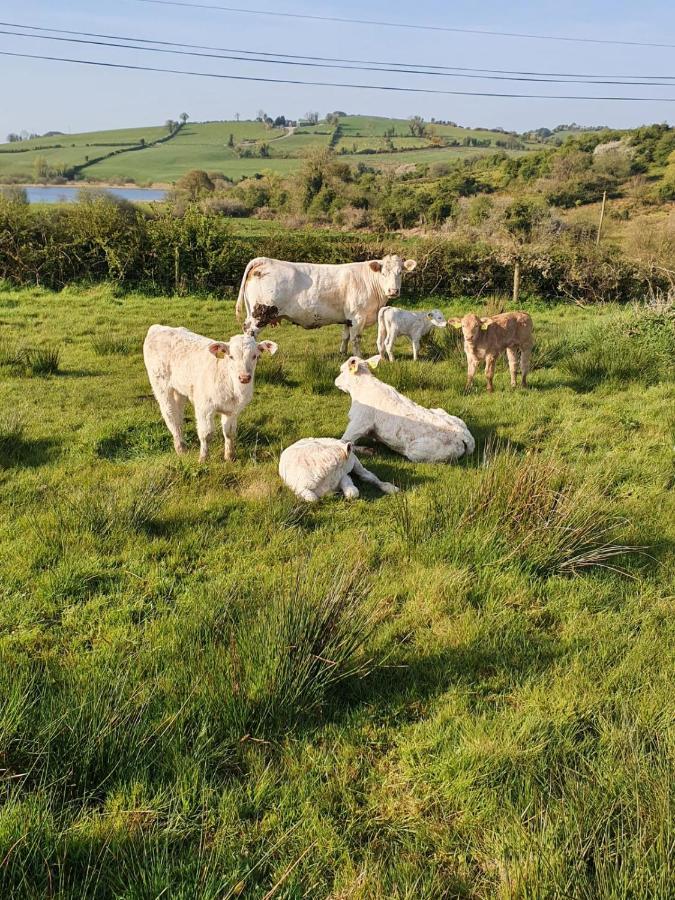 Claragh Cottage Cavan Luaran gambar