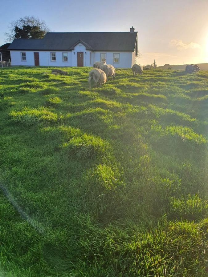 Claragh Cottage Cavan Luaran gambar